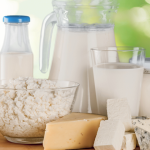 Dairy Products