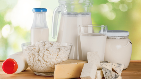 Dairy Products